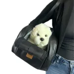 DogLemi Console autostol