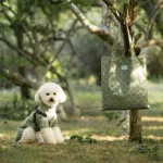 Pakketilbud | Ollipet Aqua Explorer De Luxe Regnjakke og Shopping net