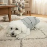 Ollipet Calm Vest