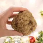Gnavebold af kokosfibre | 100% Naturlig