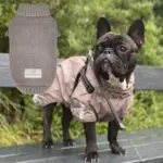 Pakketilbud | Strong body Pawfect Weather Gear