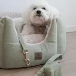 Ollipet Bijou Step-in hundesele | Fløjl