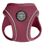 Ollipet For Wagging Tails | Step in Sele