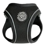 Ollipet For Wagging Tails | Step in Sele