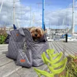 Ollipet Saint Tropez Hundetaske