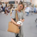 Ollipet Nice Hundetaske