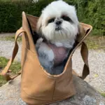 Ollipet Nice Hundetaske