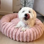 Ollipet Bella Bloom Donutseng | flere farver