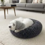 Ollipet Calm Hoodie