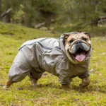 Ollipet Poncho Regndragt | Khaki
