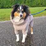 Ollipet Poncho Regndragt | Khaki