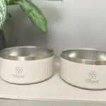 Pakketilbud | Ollipet hundespisesæt - Vanilla dust