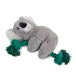 AFP Safari Kevin Koala m. reb