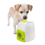 AFP Interactives - Fetch'N Treat