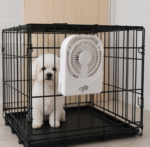AFP Chill out | Kølende Ventilator