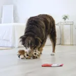 Kong Comfort Pups Hundelegetøj
