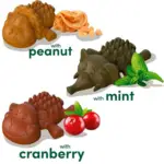 Knash Animals Dental Chew