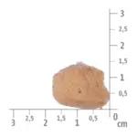 Brit Care Mini Raw Delights Adult, Turkey & Shrimp  | Tørfoder 2kg