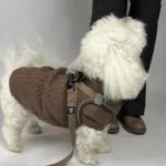 Ollipet for Wagging Tails | Hundesweater