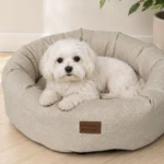 Nordic Paws Nova Donuthundeseng