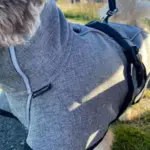 Back on Track BARK Softshell hundedækken | Fuld Refleks