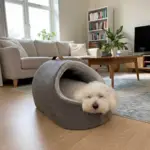 Ozami Kattehule / Hundehule