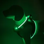 Step-in hundesele med LED-lys