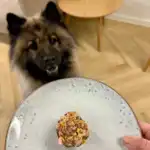 Pakketilbud | Bag-selv Hundekage