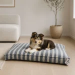 Ozami stribet Hundemadras