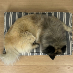 Ozami stribet Hundemadras