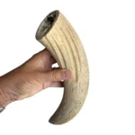 Large: 201-350 gram