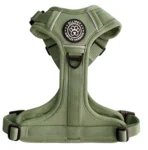 Ollipet for wagging tails | Airflex hundesele Forrest Green