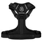 Ollipet for wagging tails | Airflex hundesele Black