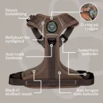 Ollipet For Wagging Tails | Airflex hundesele
