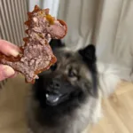 Pakketilbud | Fyldbare Dino Hundesnacks & Vådfoder med Lam