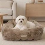 Ollipet Soft wave Lounge hundekurv