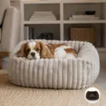 Ollipet Bella Bloom Lounge hundekurve | Flere farver