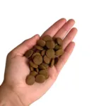 Carnilove True Fresh Dog Fish & Turkey, Adult All Breeds | Tørfoder