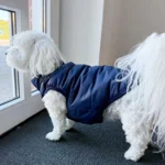 Ollipet Dynevest med fleecefor | Til mindre hunde