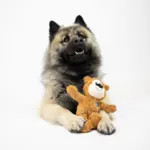 KONG Wild Knots Bears | Bamse med reb