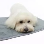 Ollipet Vandabsorberende Memoryfoam bademåtte