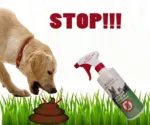STOP Spray outdoor