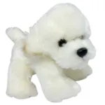Coton de Tulear /Bichon Frise bamse/Ollie