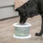 Trixie Bubble Stream vanddispenser | 3 L