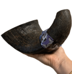 Buffalo Horn 