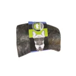 Buffalo Horn 