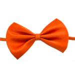 Afstivet hundebutterfly | Orange