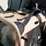 Ollipet For Wagging Tails | Soft Transporttaske med tæppe