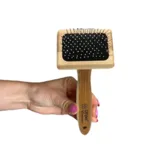 Ollipet Exclusive Bambus Karte