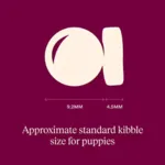 Carnilove Active Dog Salmon & Turkey, Puppy All Breeds | Tørfoder